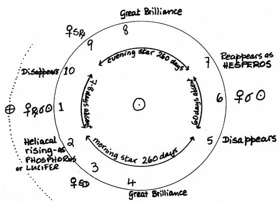 Venus cycle diagram
